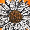 Flower_thumb