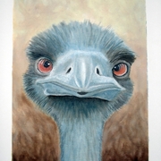 Struzzo_card