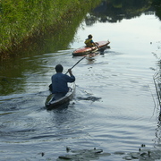 Sh102325_card