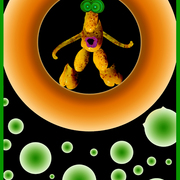 Freckle-fern_digital-circle_card