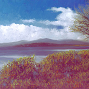 New_zealand_lake_card
