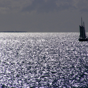 Coral_sea_-_green_island_card