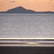 Coral_sea_3_card
