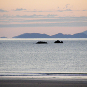Coral_sea_2_card