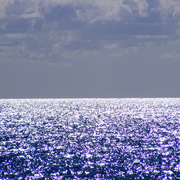 Coral_sea_4_card