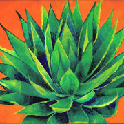 Orangeagave111_card