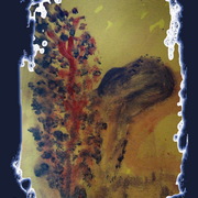 Img_4147_cactus_with_blue_border_card
