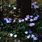 Dsc00674a_card