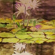 101_card
