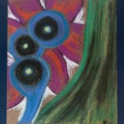 Cimg1235_copy_card