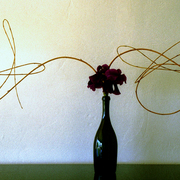 La-bouteille_card