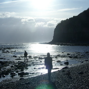 Sh103200_card