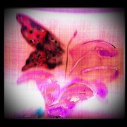 Pink_abstract_butterfly_and_flower_art_card