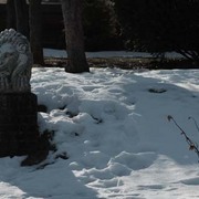 Img_0142_for_site_card