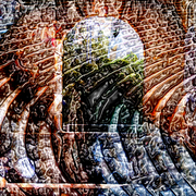 Arch_card