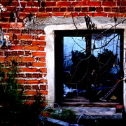 Imgp1117_card