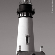 Oregon-pd-img_0234-1008-post_card