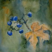 Berries_003_card