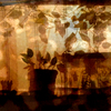 Silhouettes2a