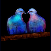 Love_card