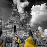 Home_of_the_yellow_shirts_card