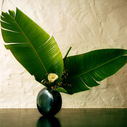 Ikebana187_card