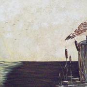 Seagull_concrete_007_crop_crop_card