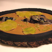 Dsc08726_card