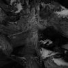 Snowy_tree_stump_thumb