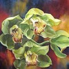 Green__cymbidium_orchid