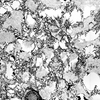 090928_are_there_1000_2409_thumb