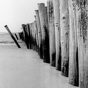 Beach-poles-2_card