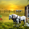 Winter_sommer_800_thumb