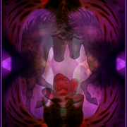 Wild_horses_card