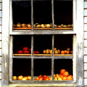 Chiloe_ventana_de_frutas_dalcahue_card