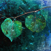 Spring_days_card