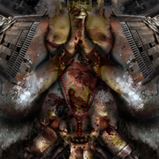 Cd_card