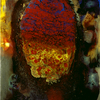 Time_to_forgive_benichou_2006_24x30inch_60x75cm__mm_thumb