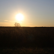 Img_1946_card