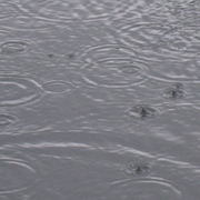 Thepuddle_card
