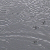 Thepuddle_thumb