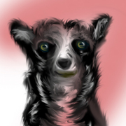 Art5_card