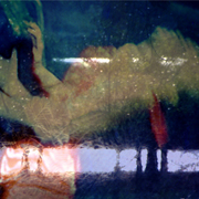 Bodies
