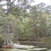 100_0827_thumb