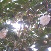 100_0844_thumb
