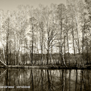 River_card