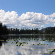 Img_0630_card