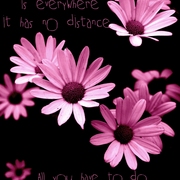 Love_is_everywhere_card