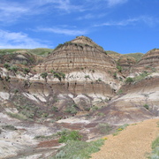 Img_0311_card