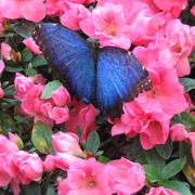 Img_0132_card